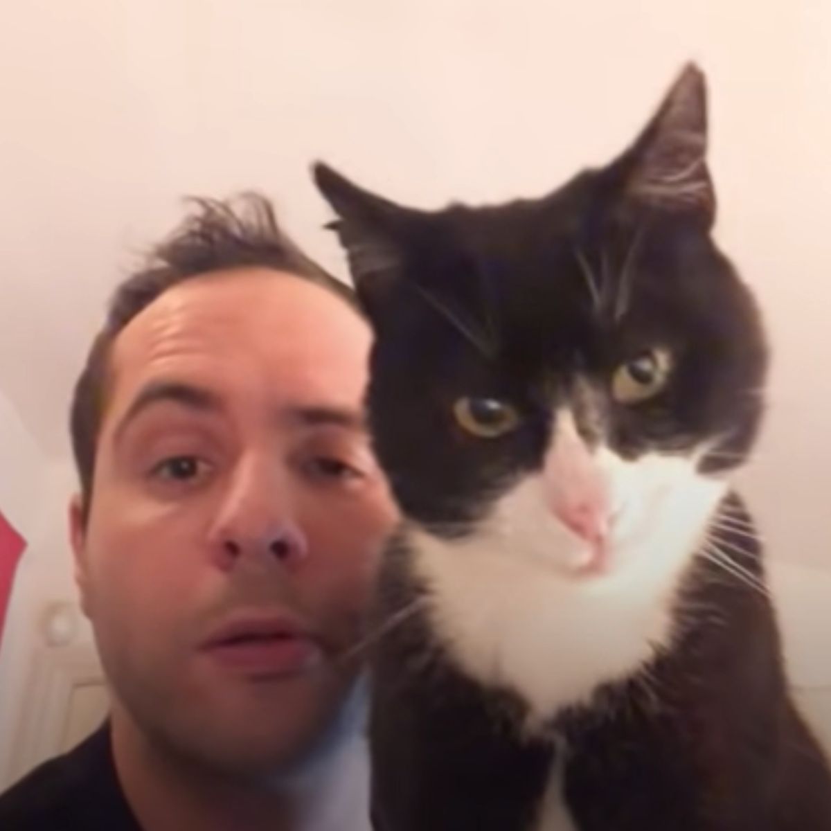 guy and his cat