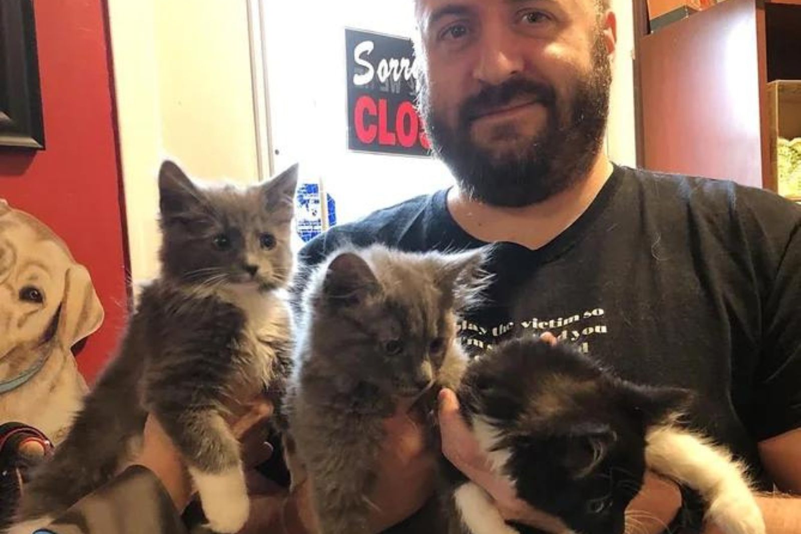 guy with an entire litter of kittens
