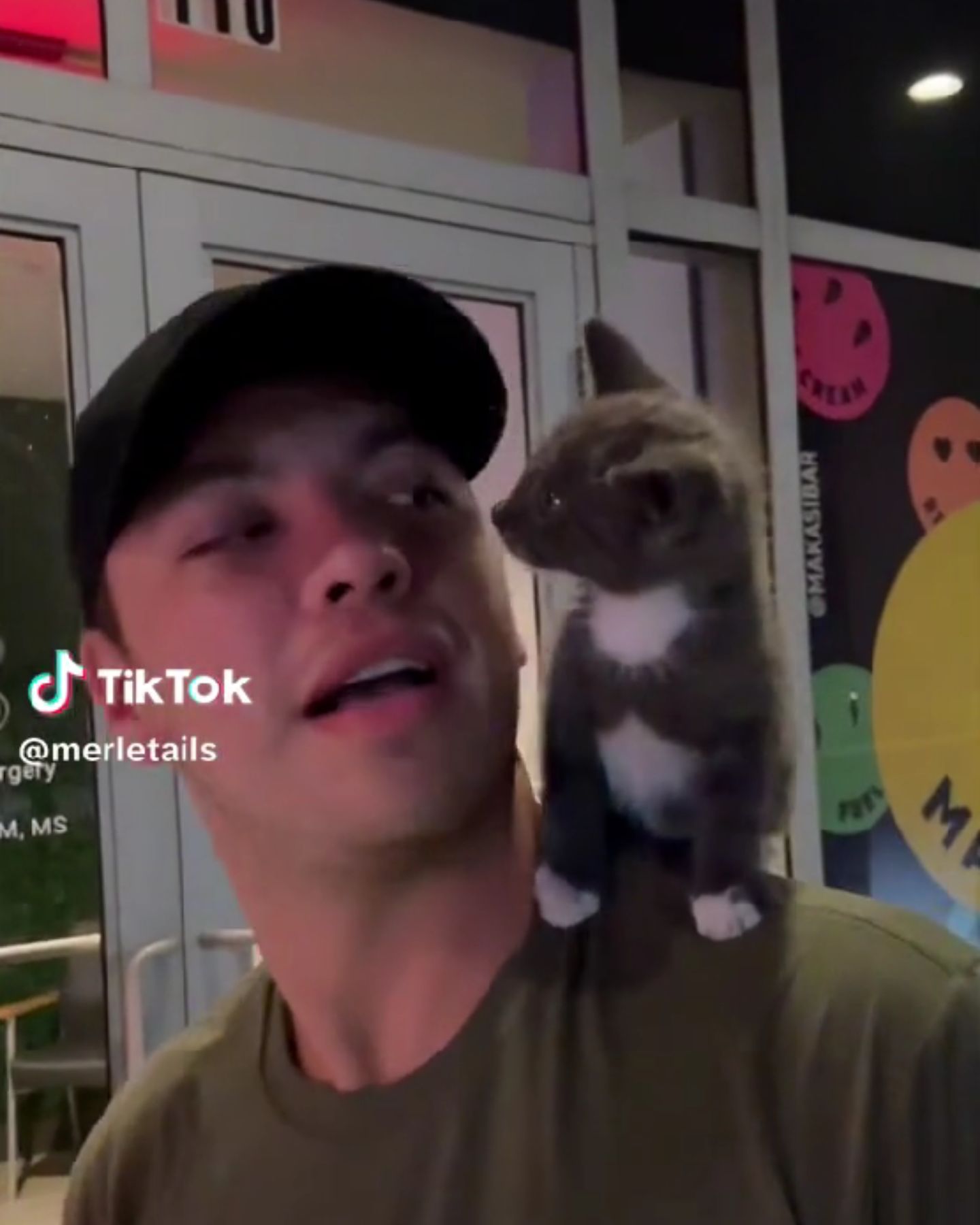 kitten on man's shoulder