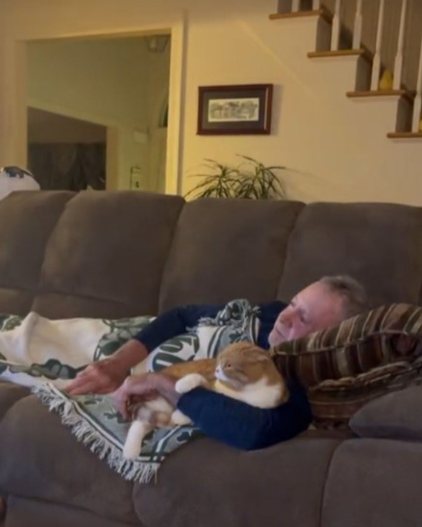 man and cat lying on couch