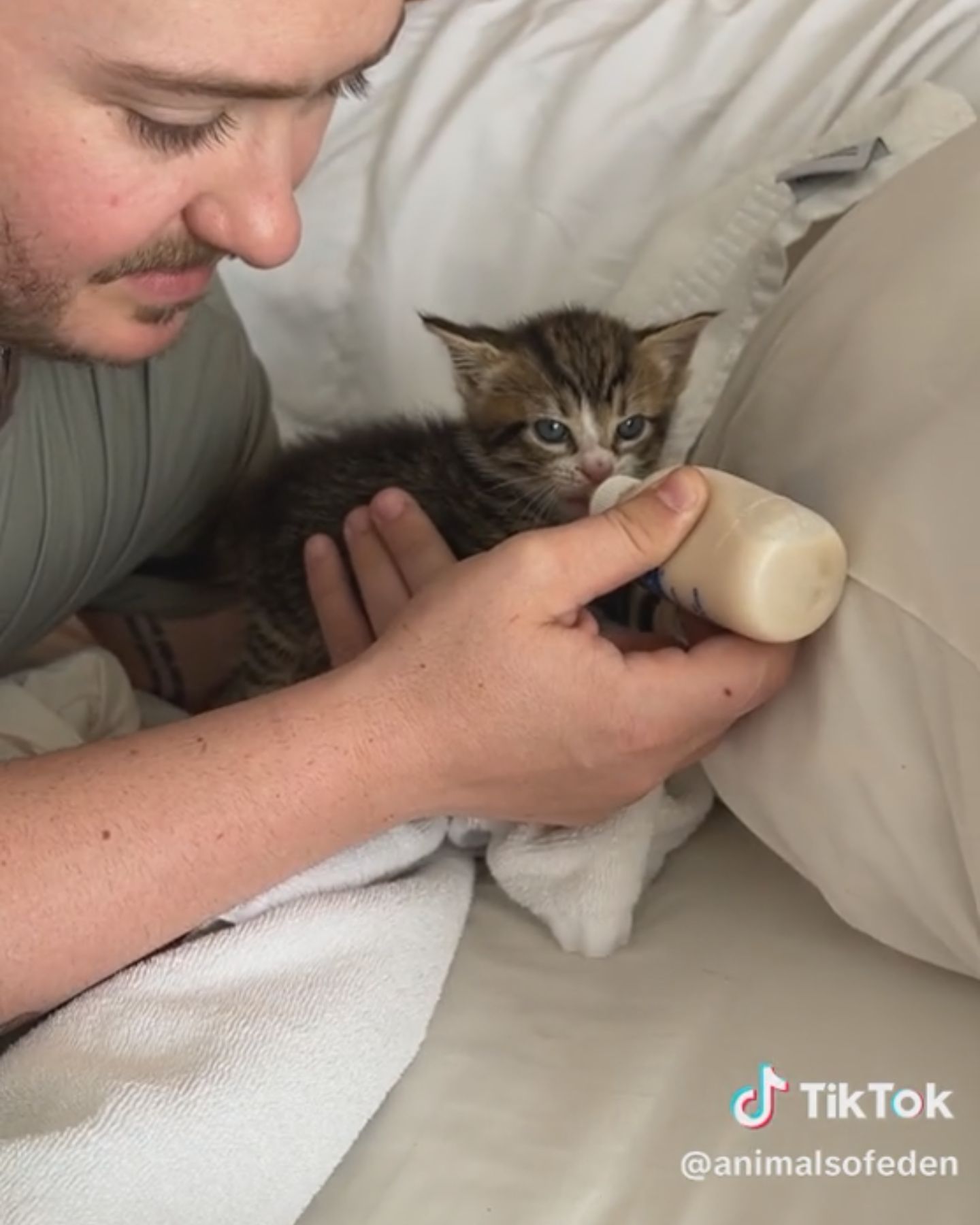 man bottle feeding a kitten