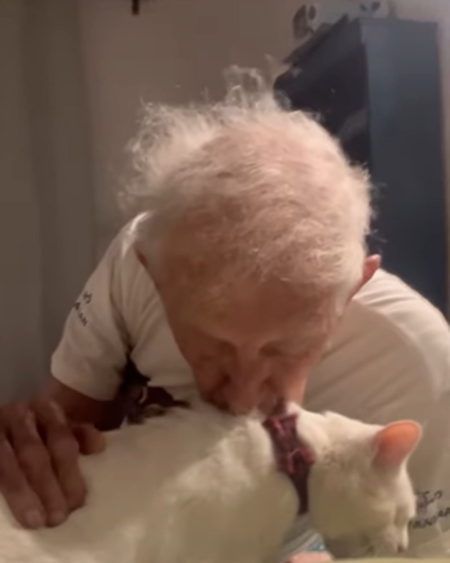 man giving cat a kiss