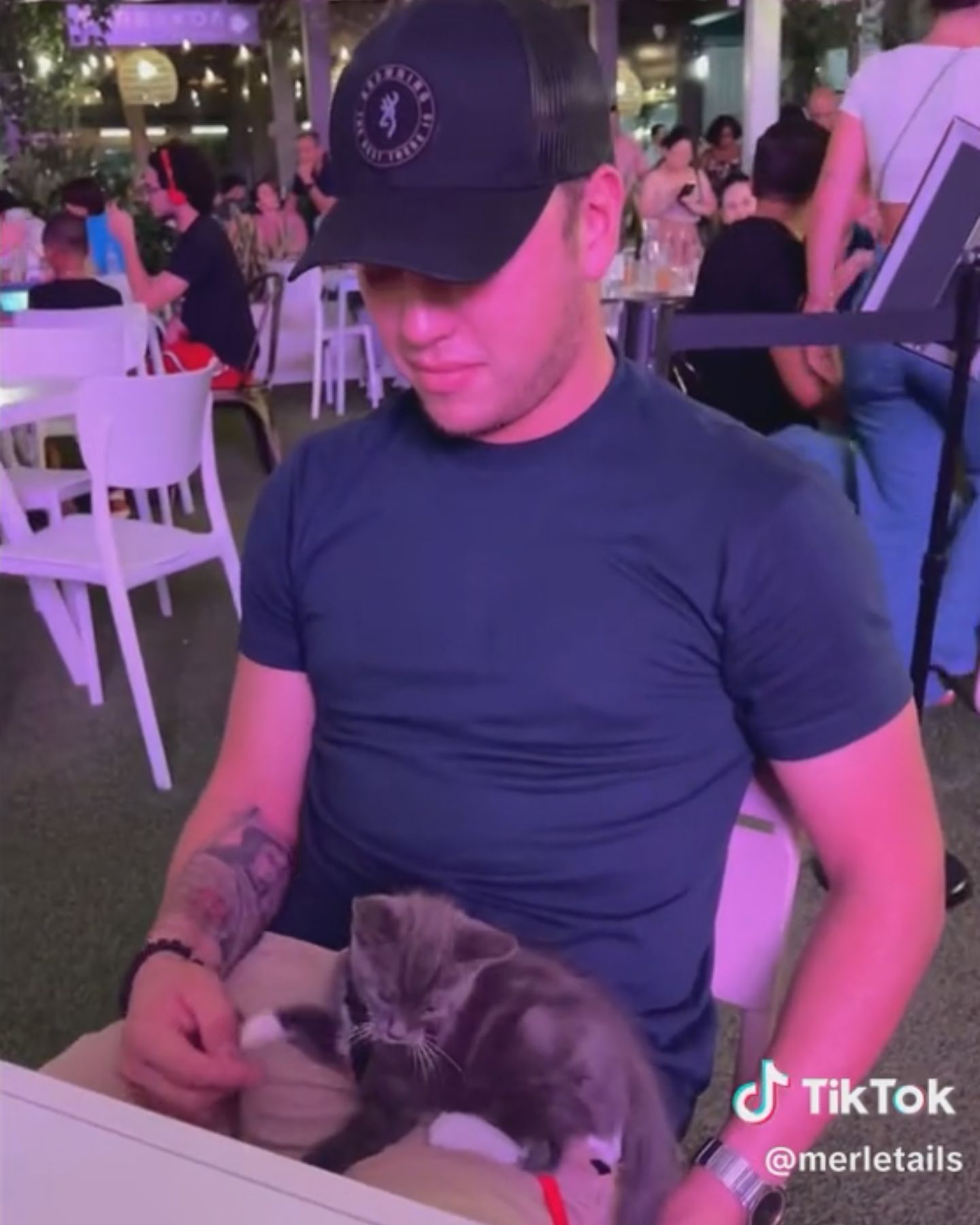 man holding kitten in his lap