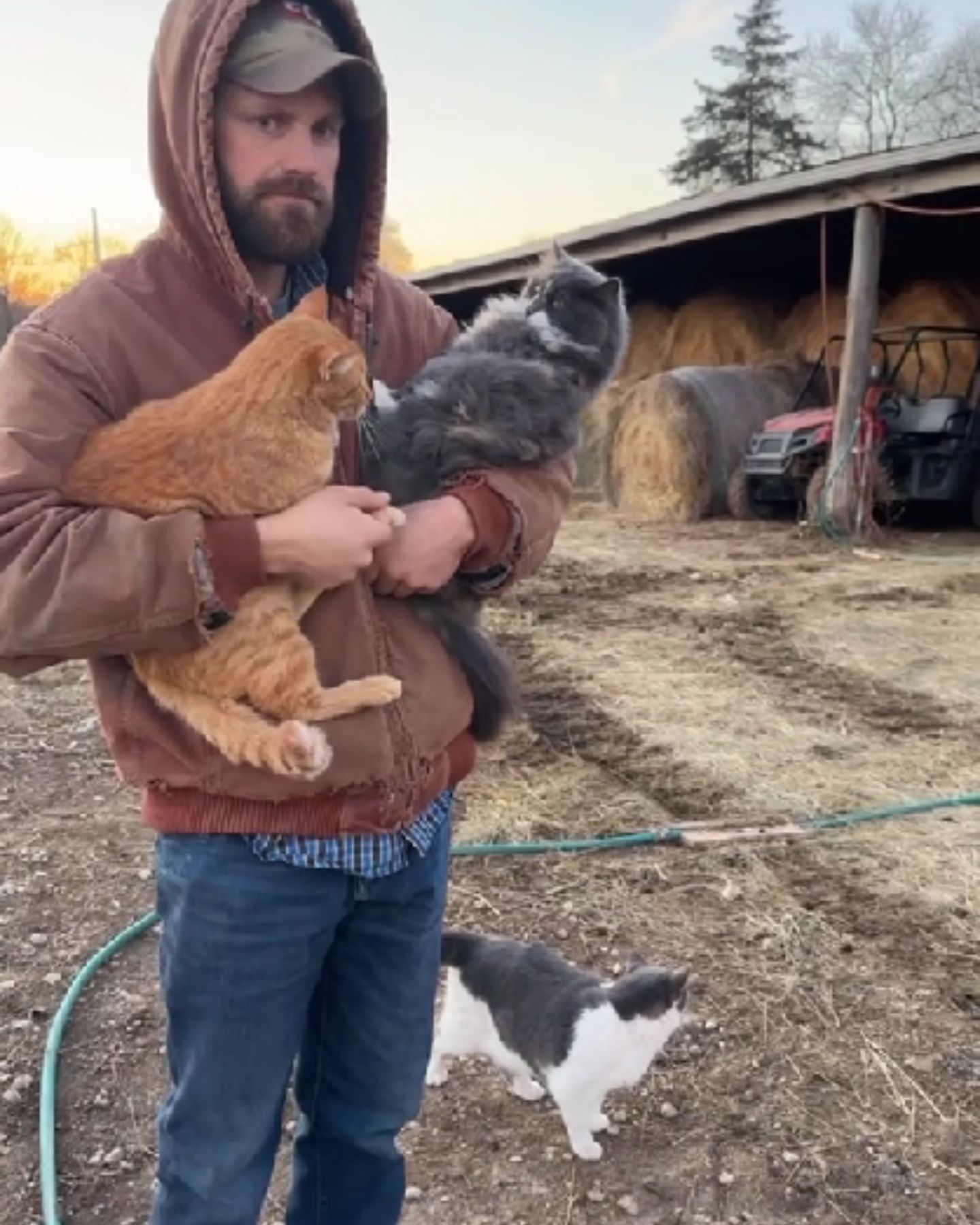 man holding two cats