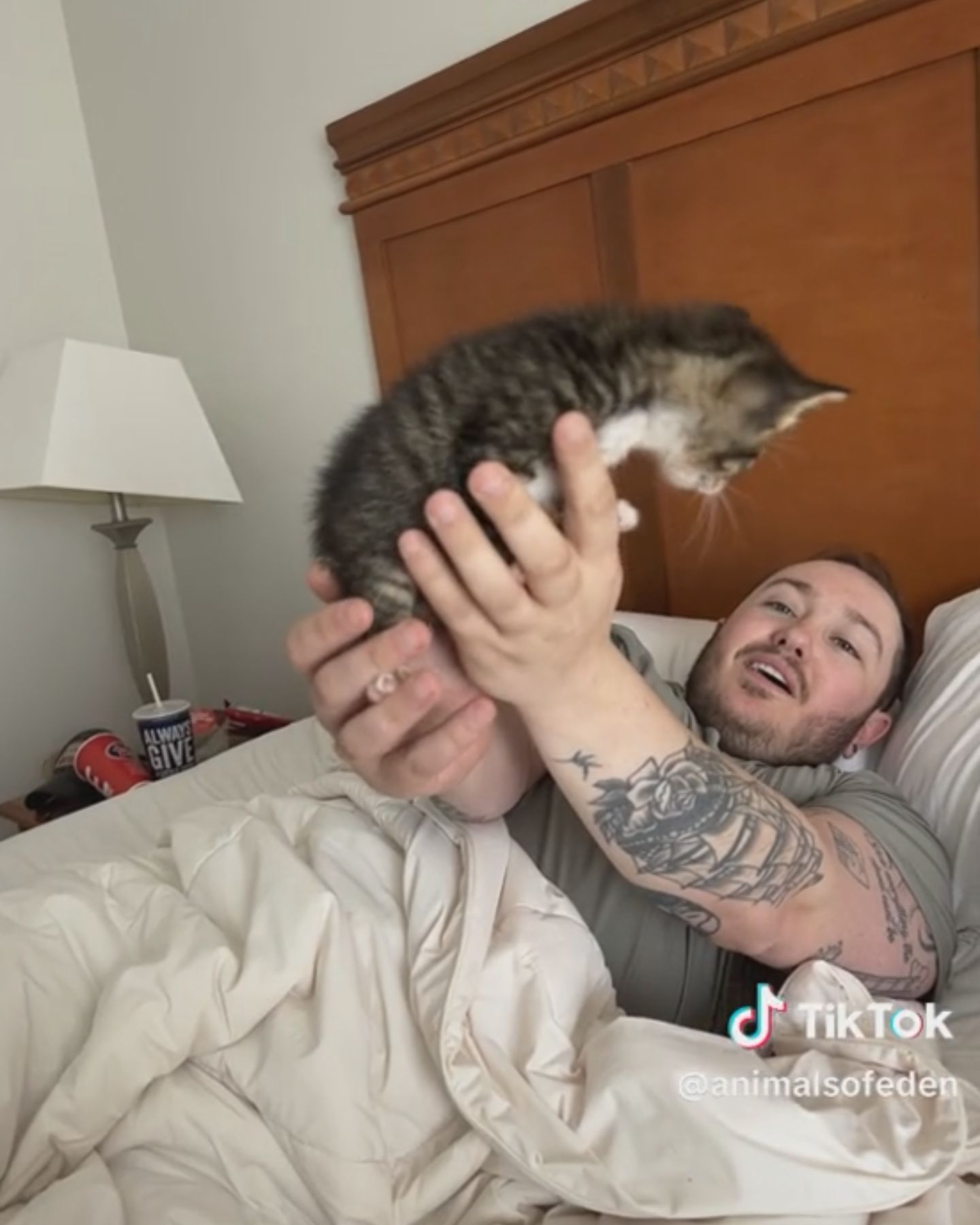 man lying in bed and holding up a kitten