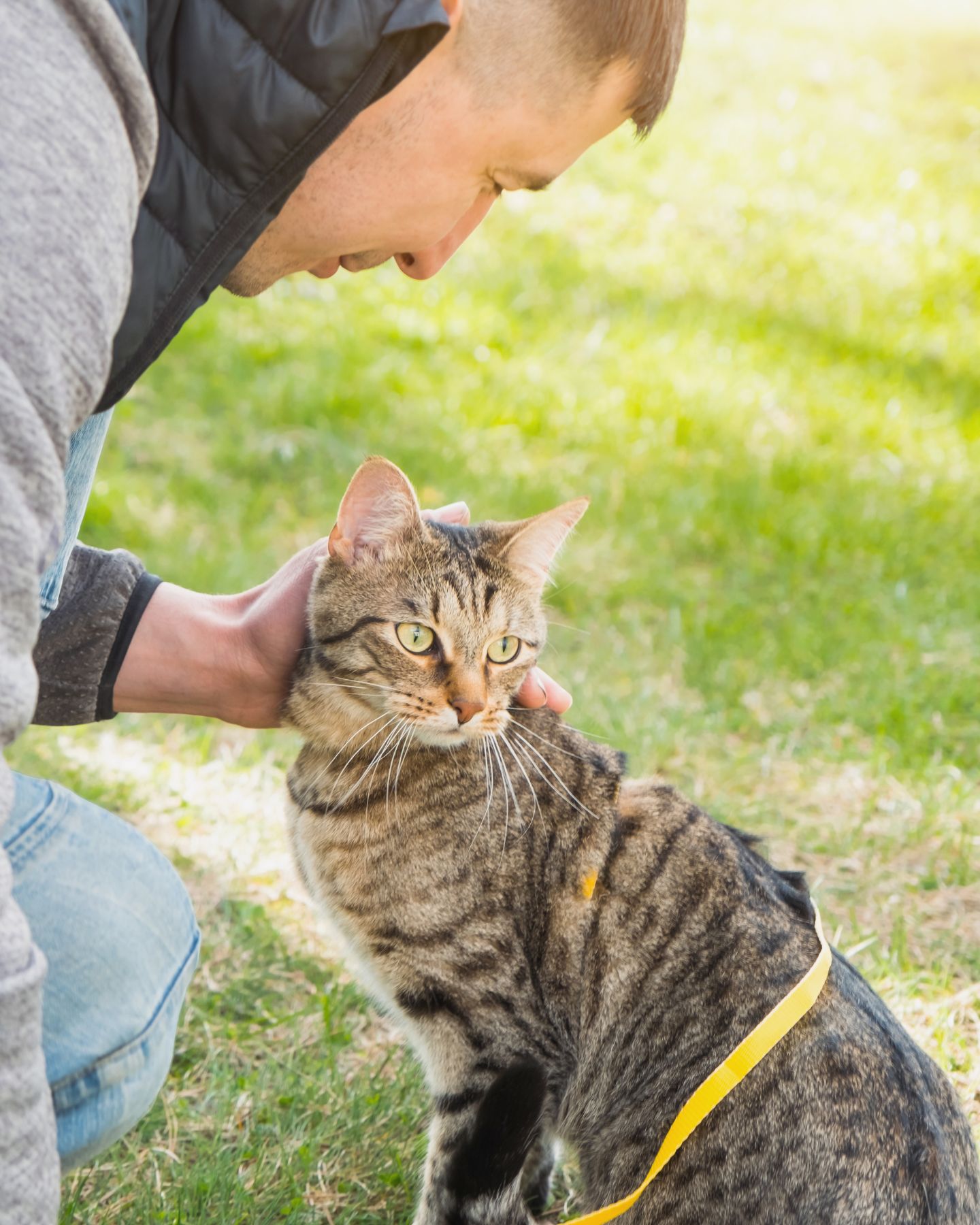 man petting a cat
