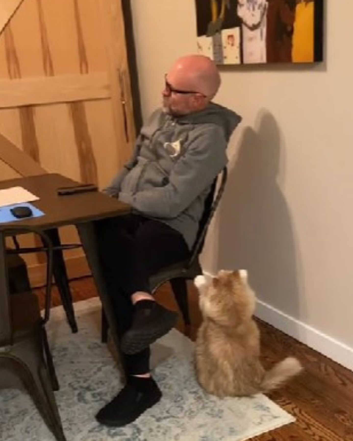 man sitting in a chair with cat on the floor next to him
