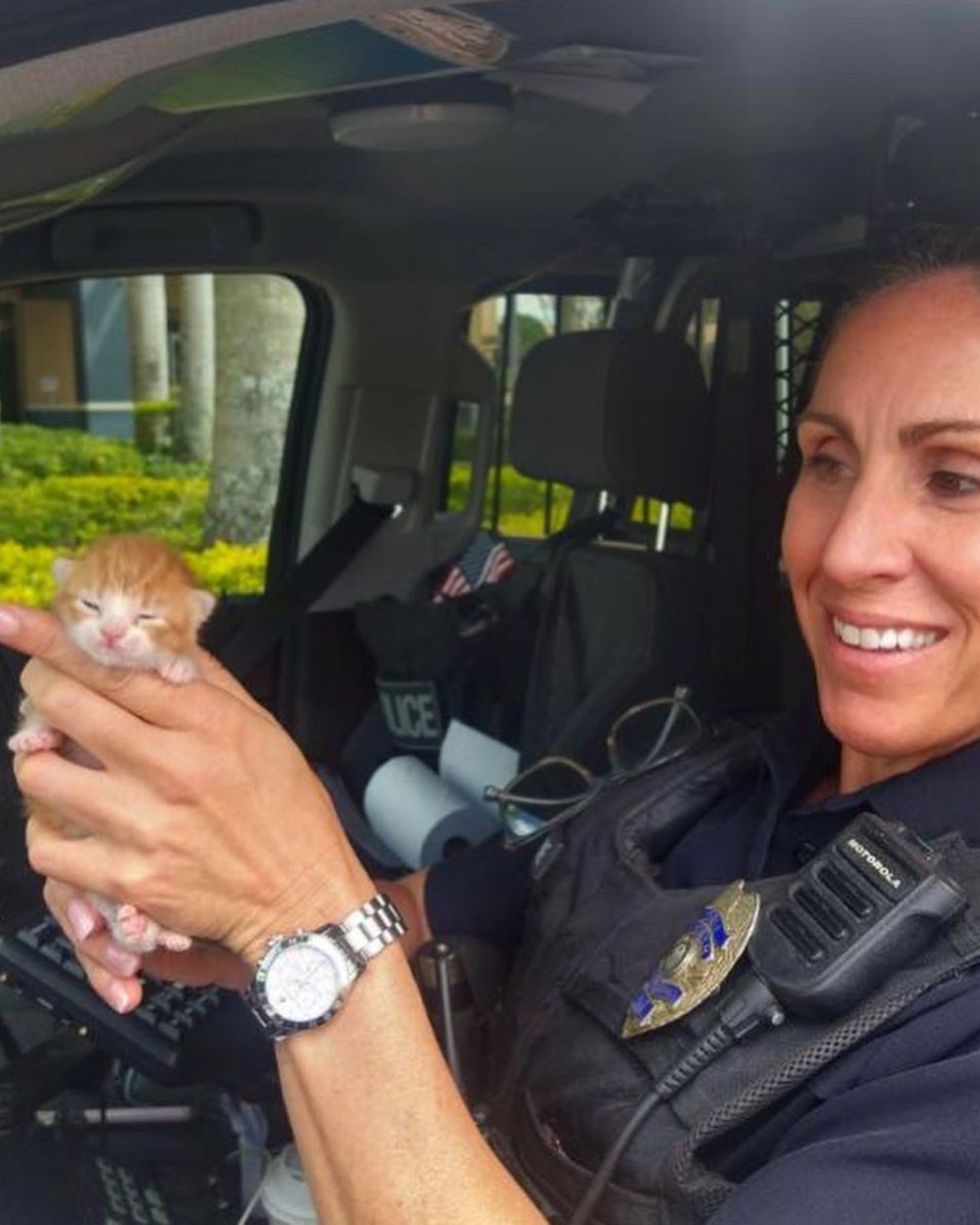 officer holding a kitten