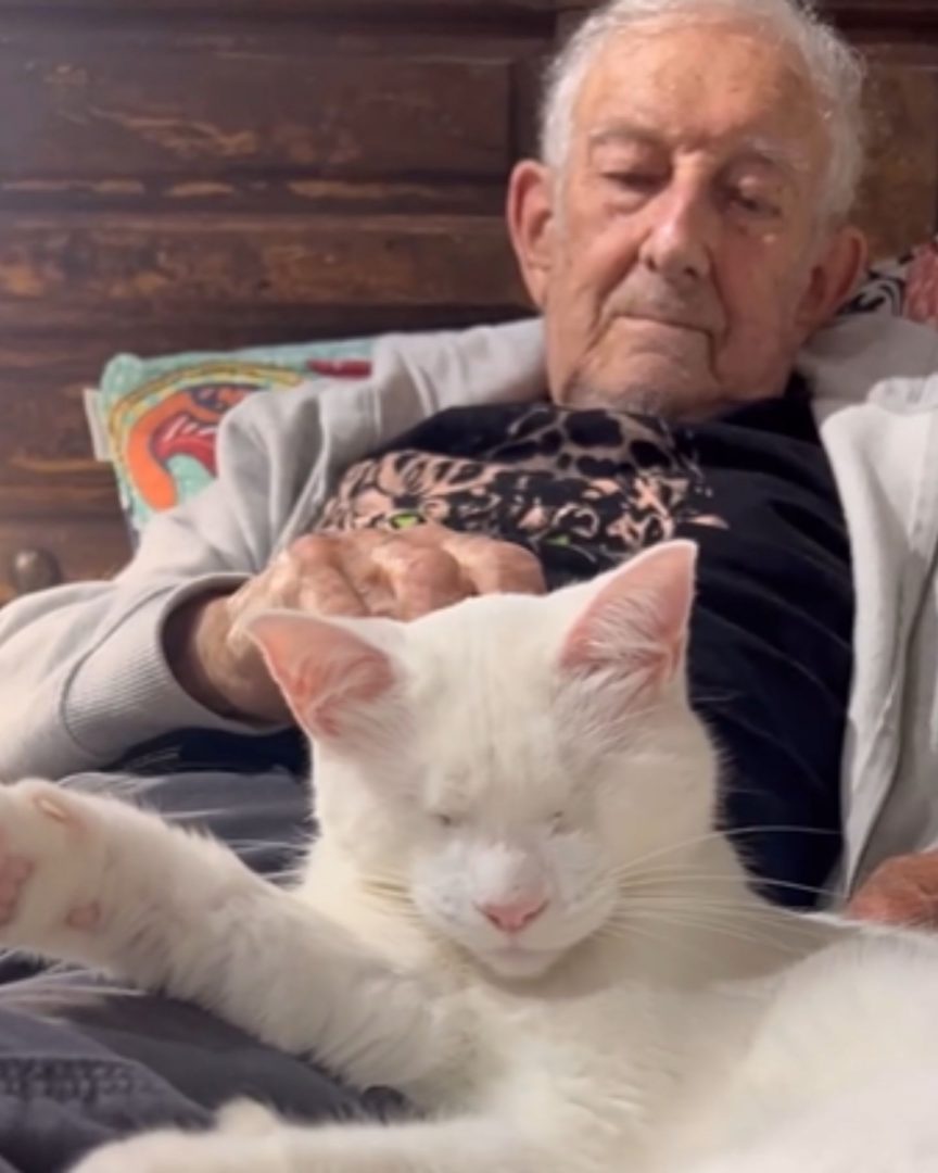 Old Man Says Goodbye To His Cat As He Can’t Take Care Of Her Anymore
