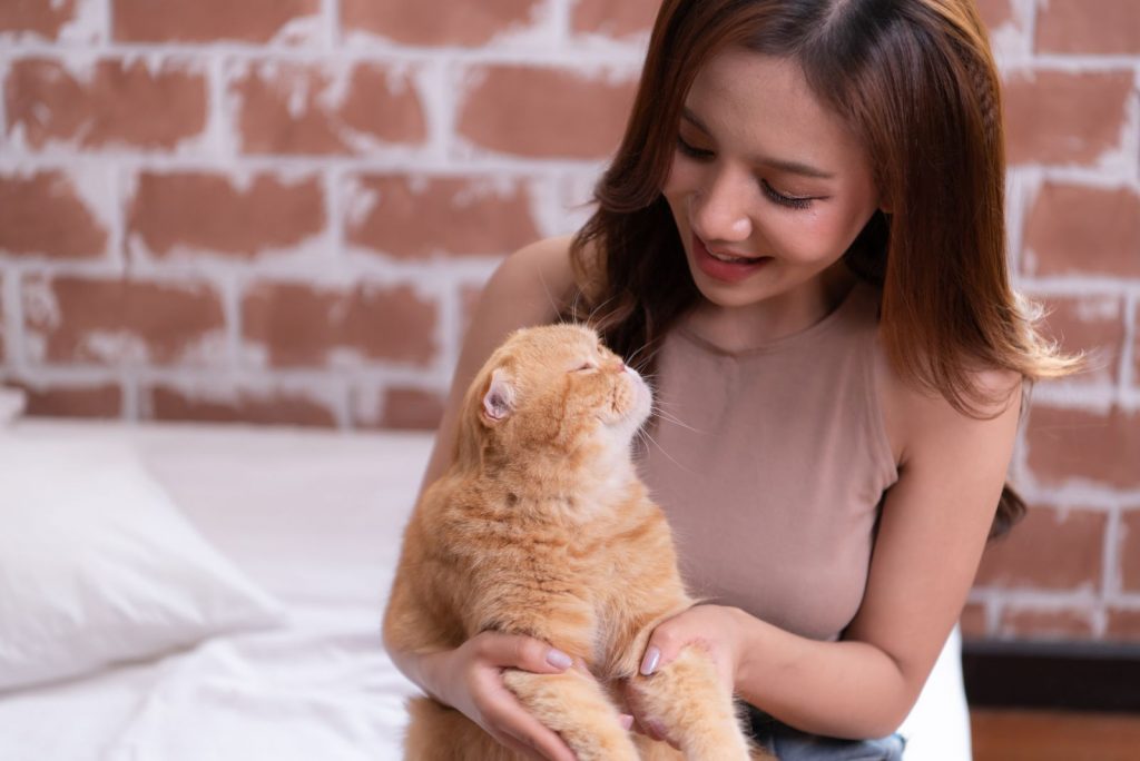 owner and ginger cat