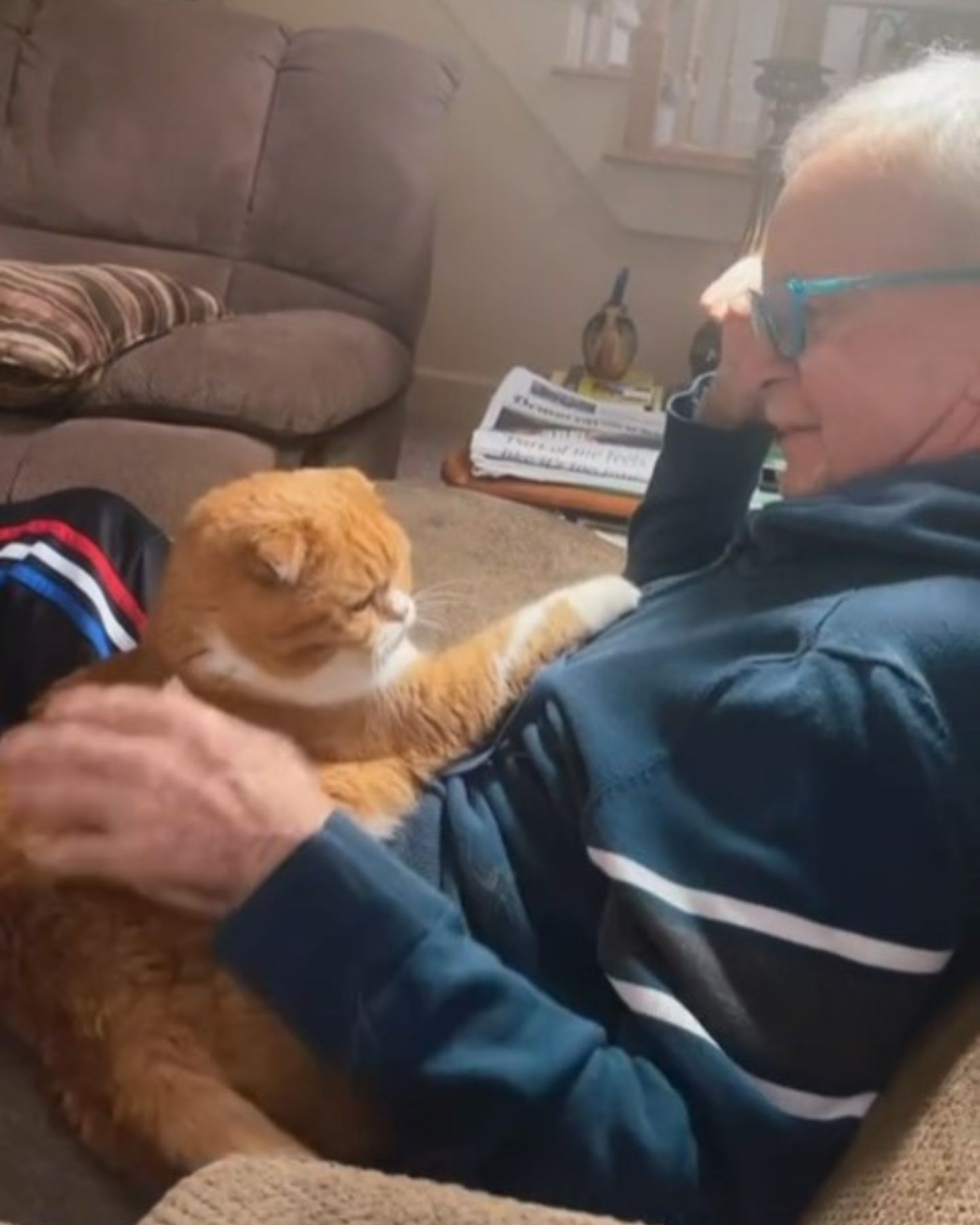 photo of cat sitting with grandpa
