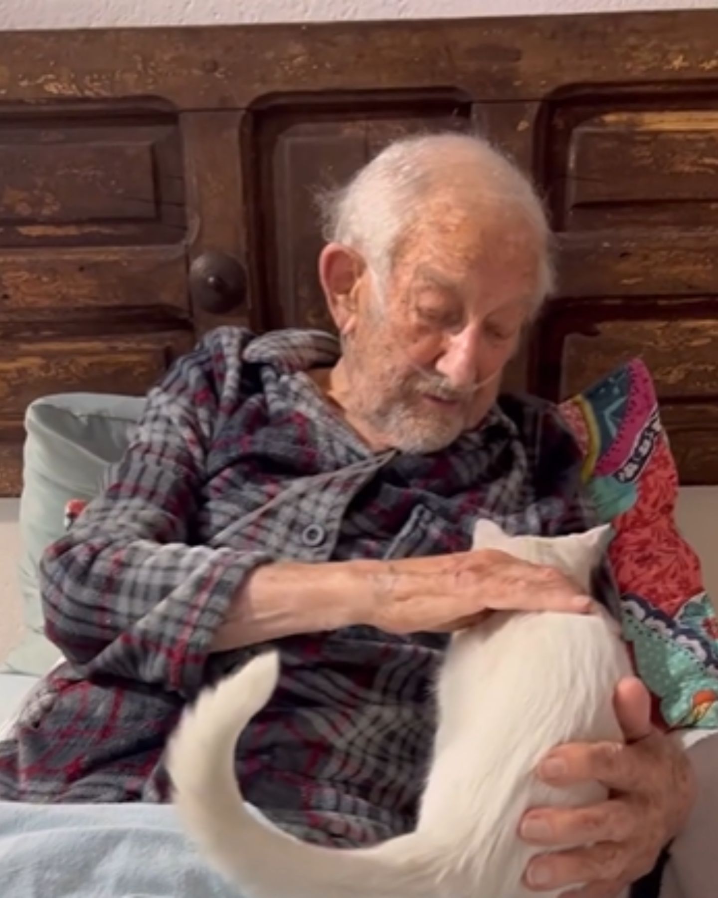 photo of old man lying with a cat next to him