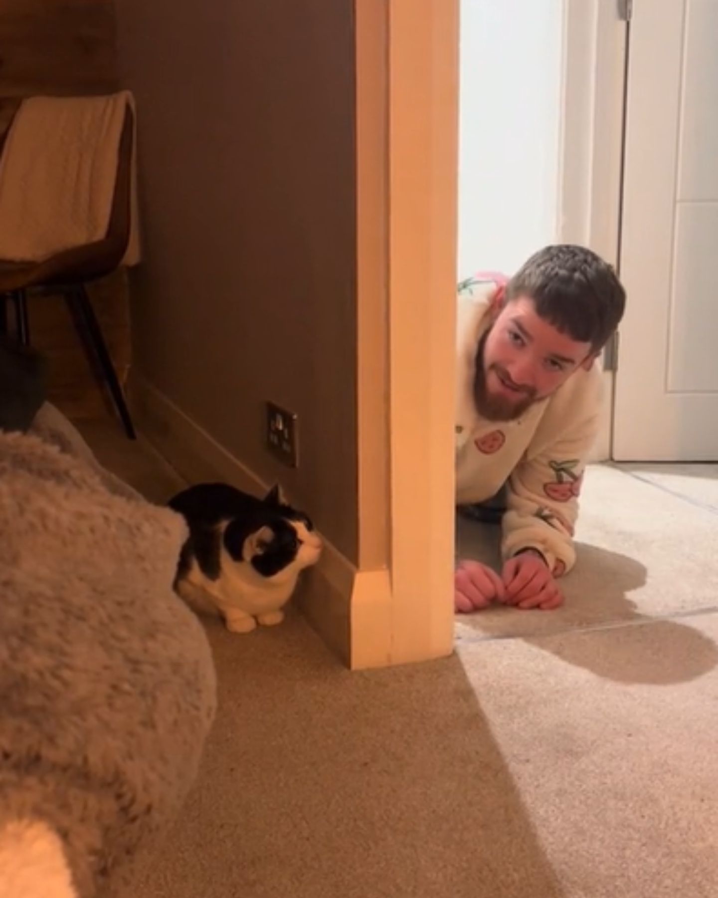 tuxedo cat playing with human dad