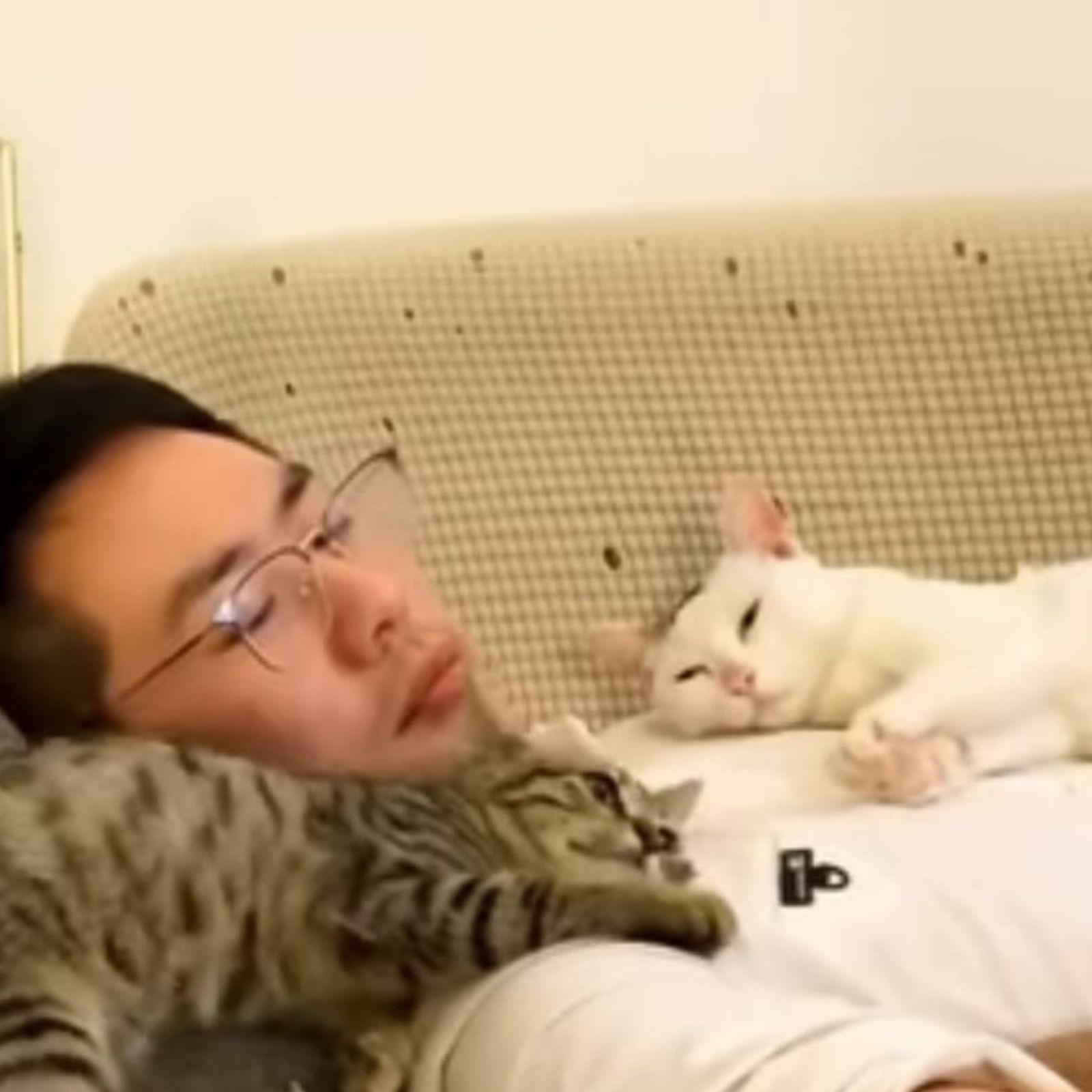 two cats lying on man's chest