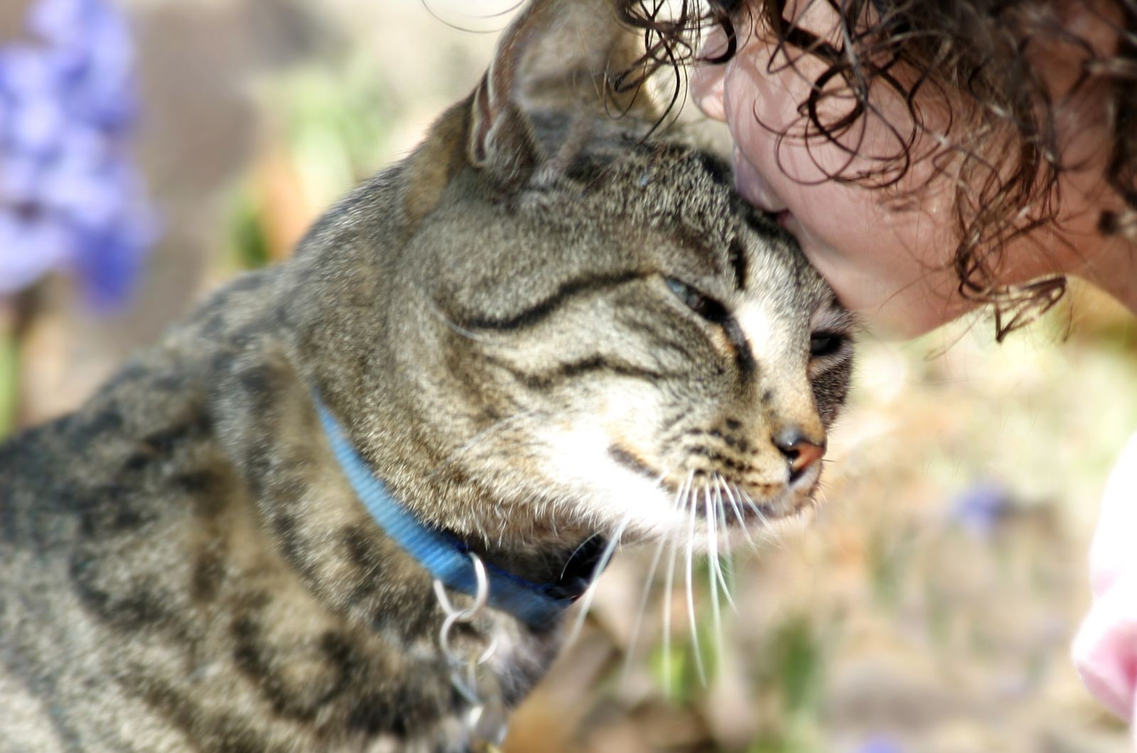 woman giving cat a kiss