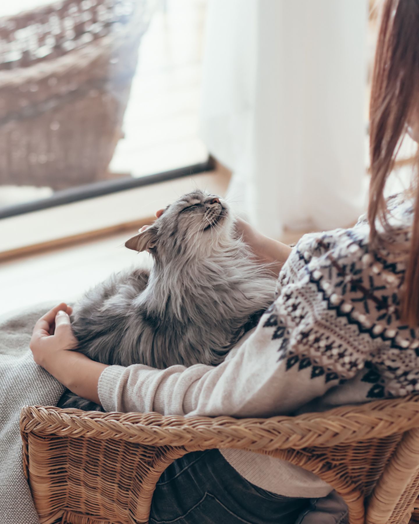 woman holding cat in lap
