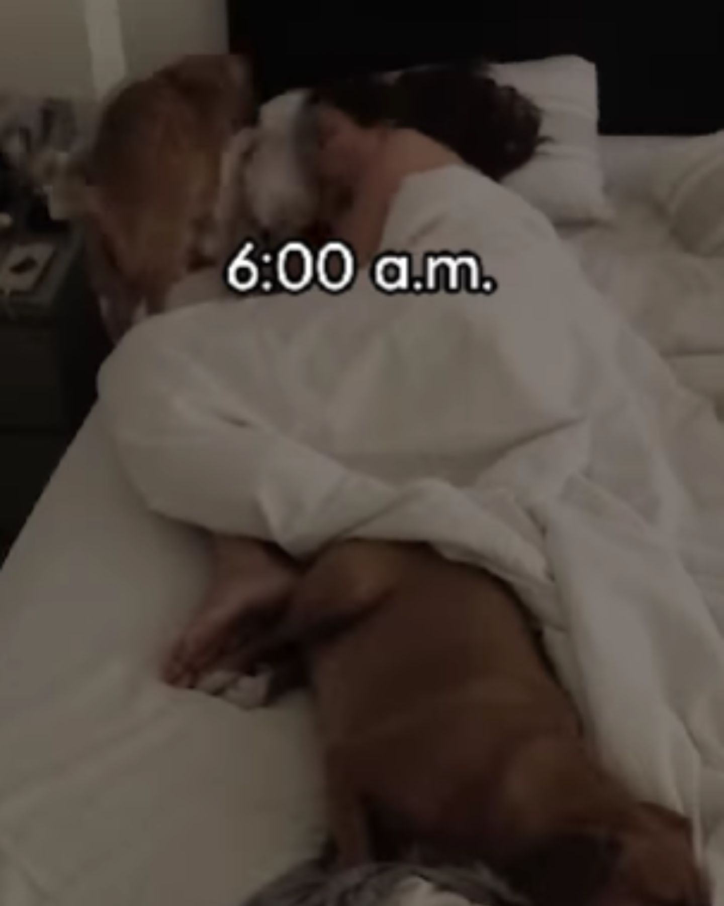 woman sleeping with pets