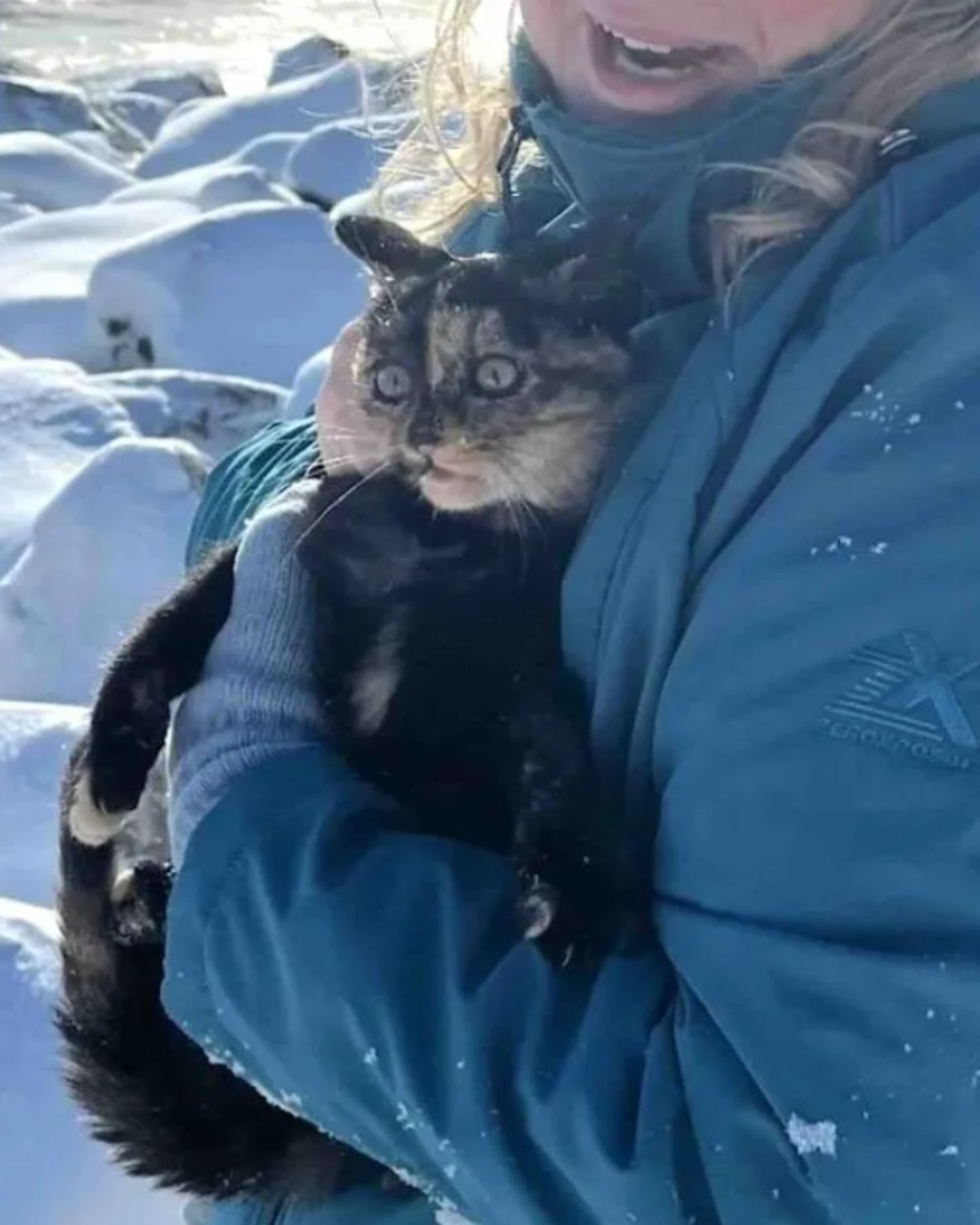 woman warming cat on snowy day