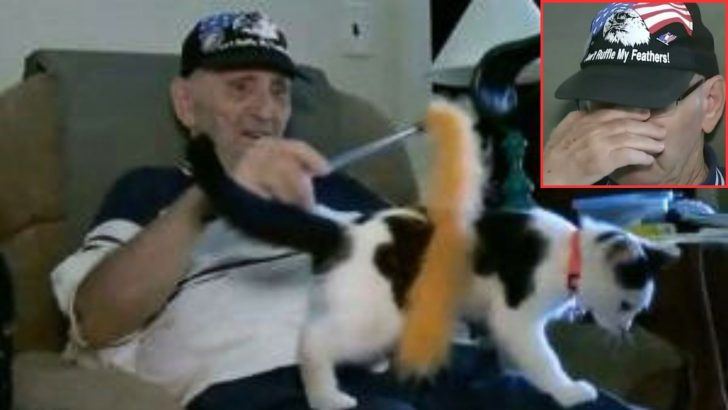 84-Year-Old Man Breaks Down Sharing How His Cat Miraculously Saved His Life