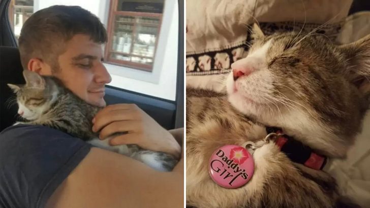 Blind Kitten Refused To Let Go Of Her New Dad Until She Became Daddy’s Girl Forever