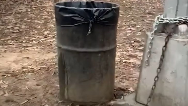 Boys Shocked After Discovering What Was Inside The Trash Bag