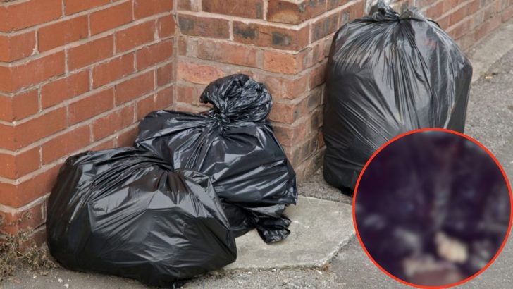 Good Samaritan Discovers Moving Black Bin Bag And Uncovers A Heartwarming Surprise