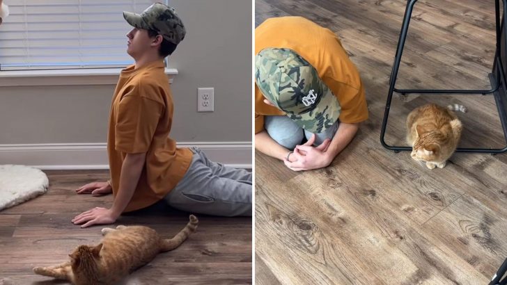 Man Goes Viral For Living A Day Like His Cat Does, Unveiling A Surprising Insight