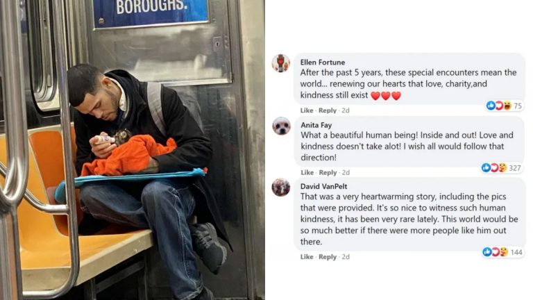 man helps kitten on subway