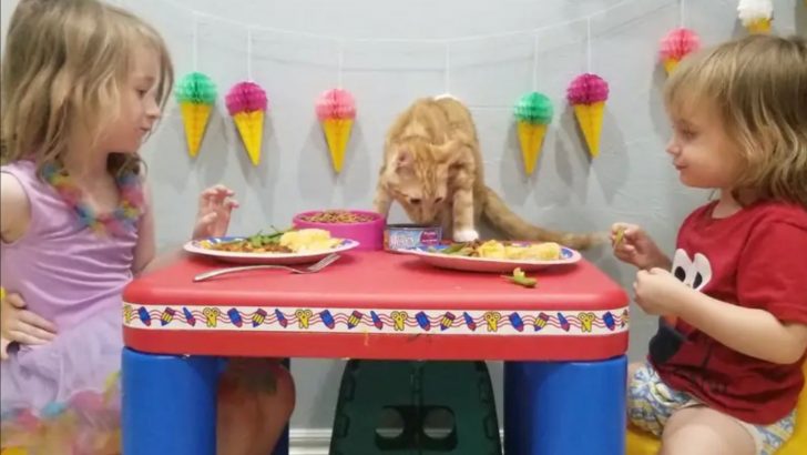 Mother From Oklahoma Borrows Strangers’ Orange Cat To Complete Kids’ Garfield-Themed Party