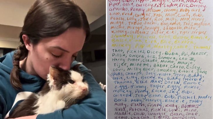 Woman Does The Sweetest Thing For Her Sick Senior Cat To Ease His Journey Over The Rainbow Bridge