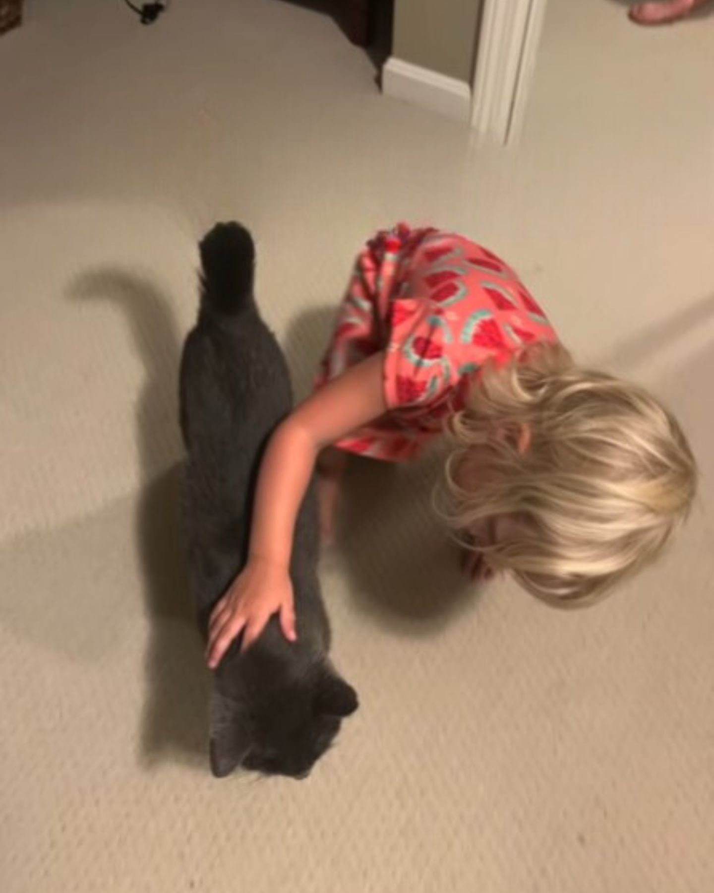 blonde kid and cat