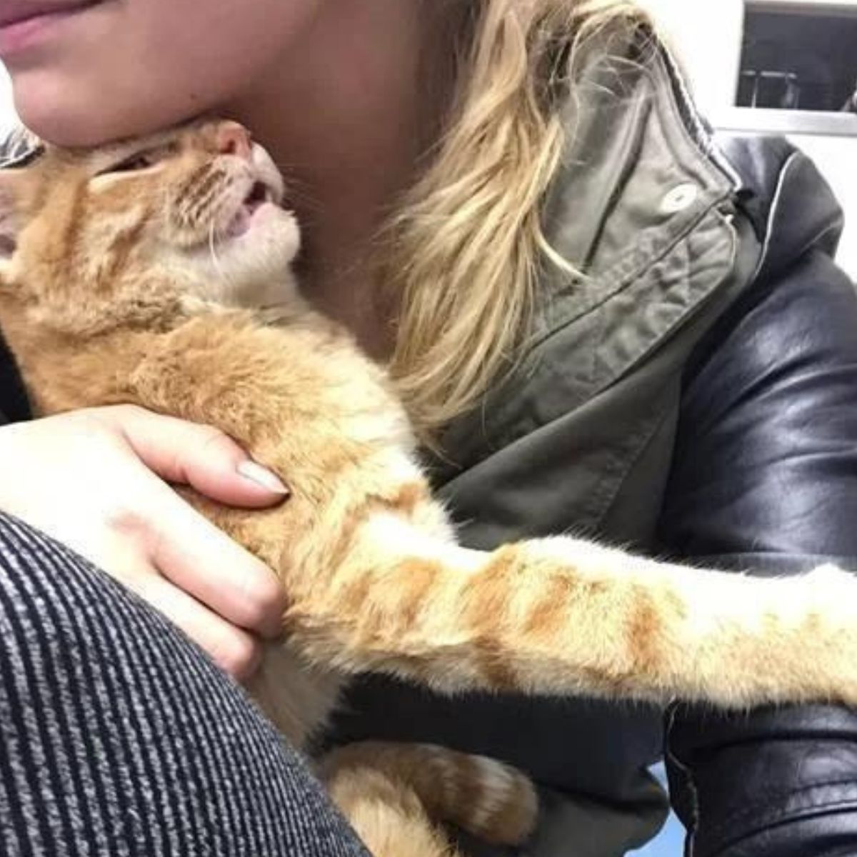 blonde woman and ginger cat