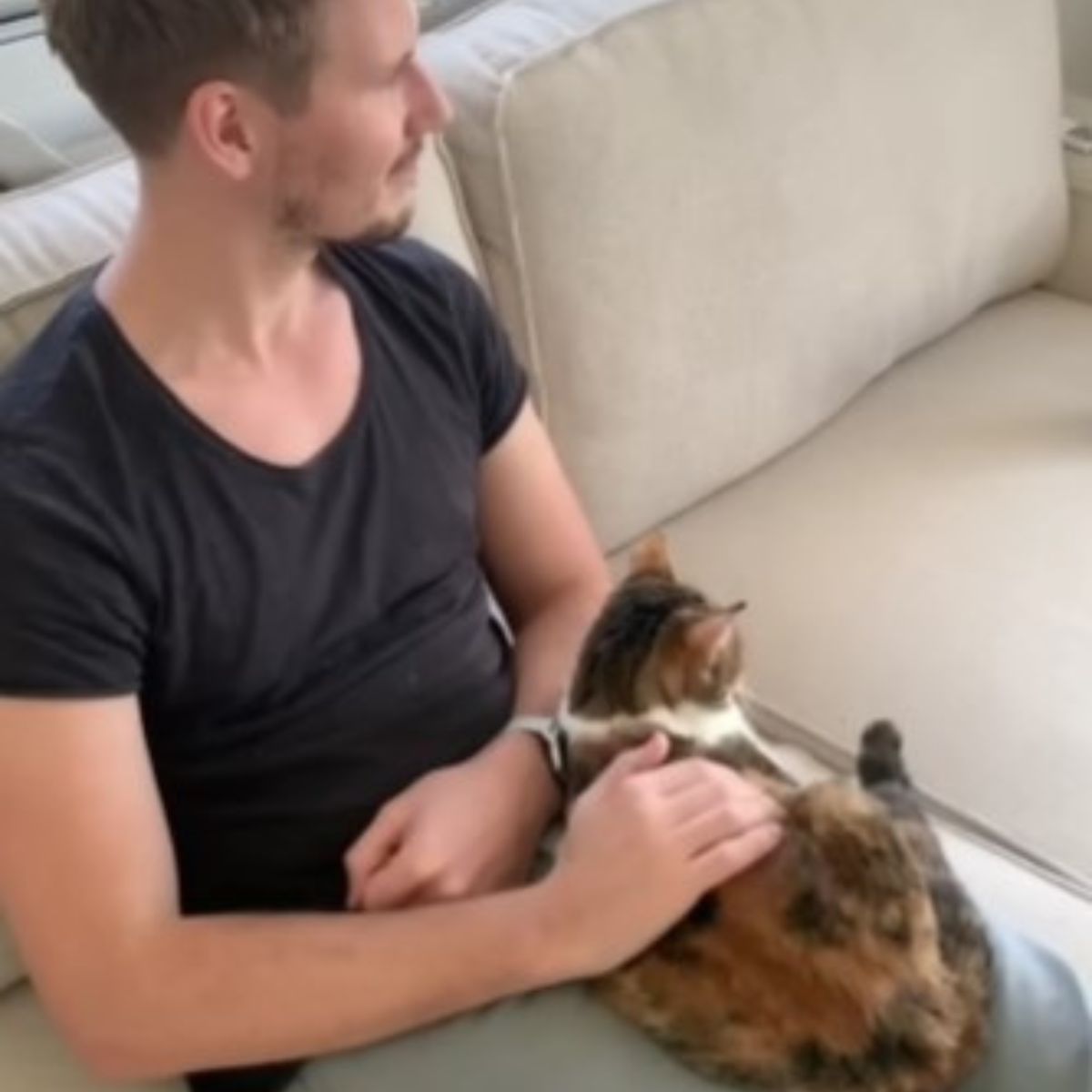 cat laying on a guy legs