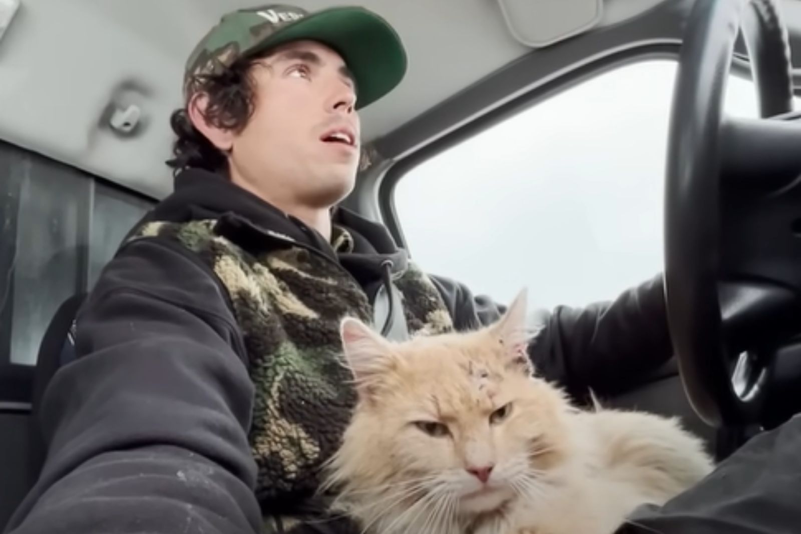 cat sitting on a driver