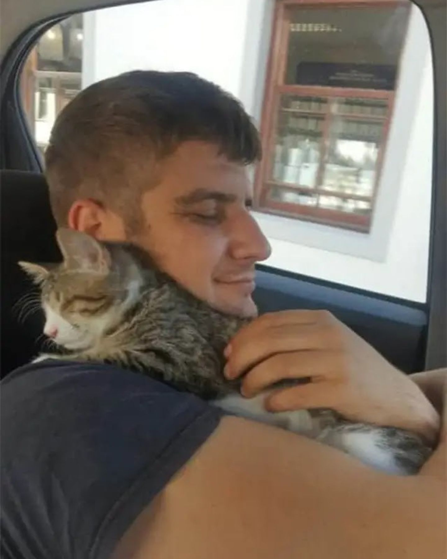 guy, cat and car