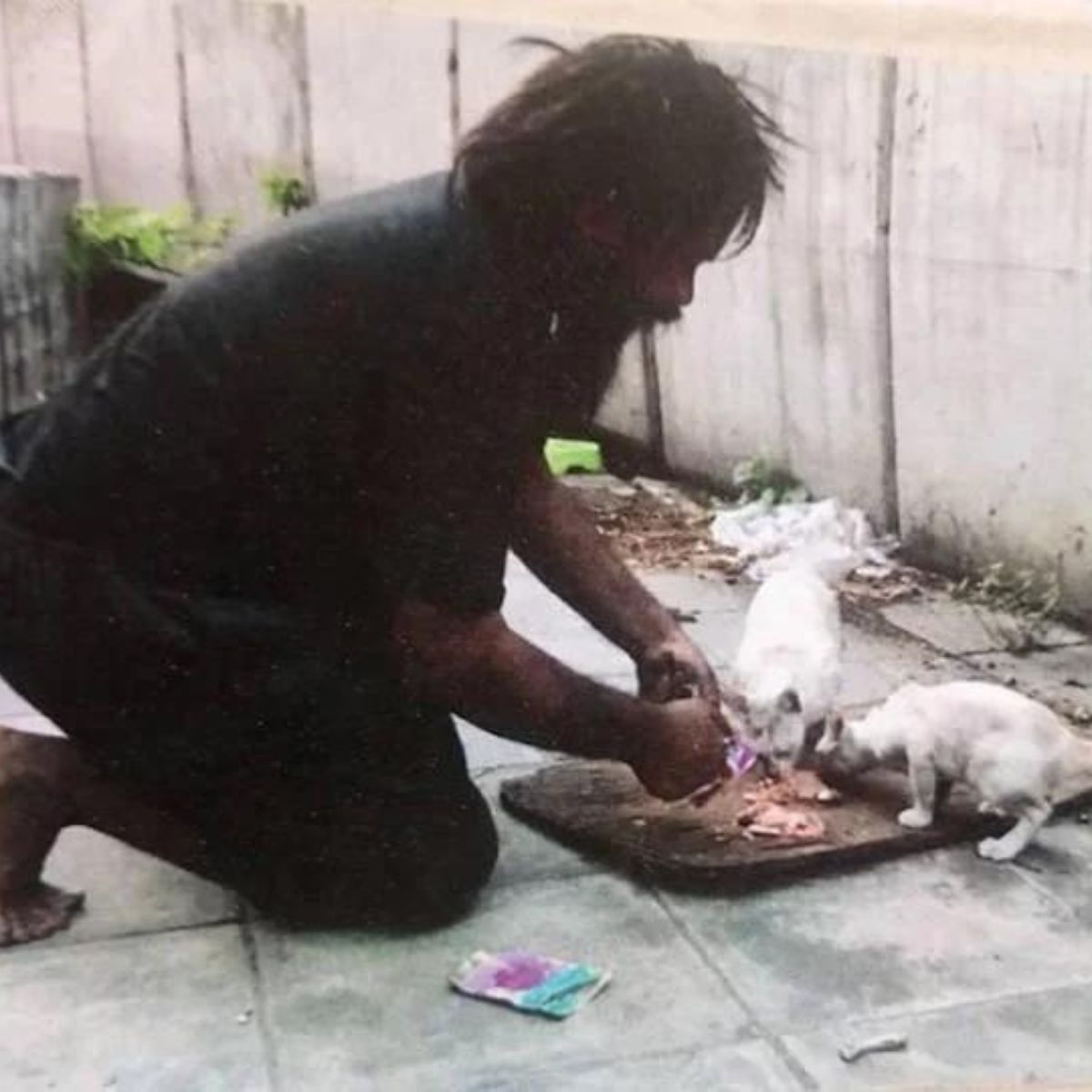 homeless man feeding cats