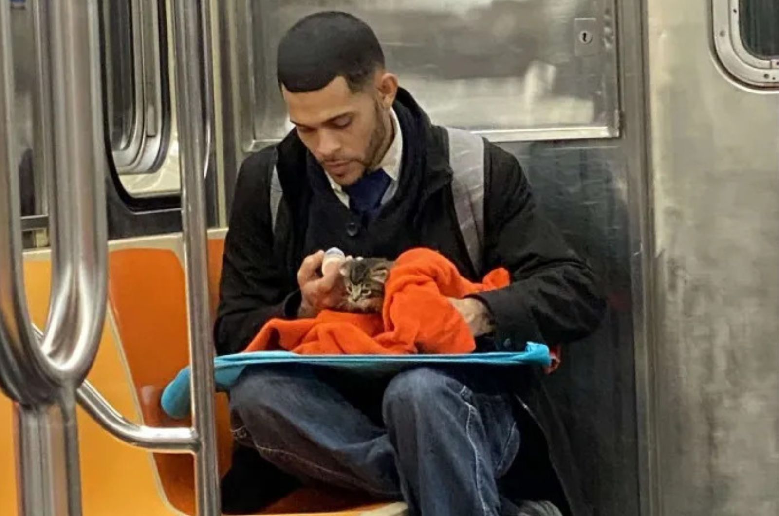 man helps tiny kitten on subway