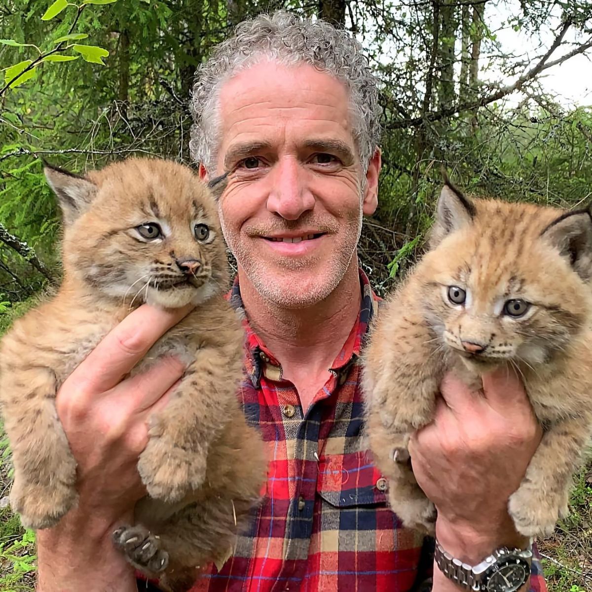 man holding lynx kittens