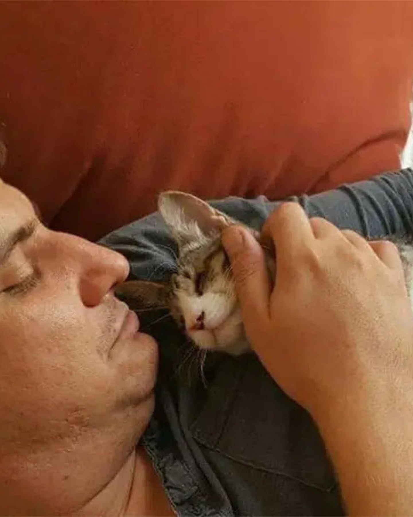 man playing with a kitten