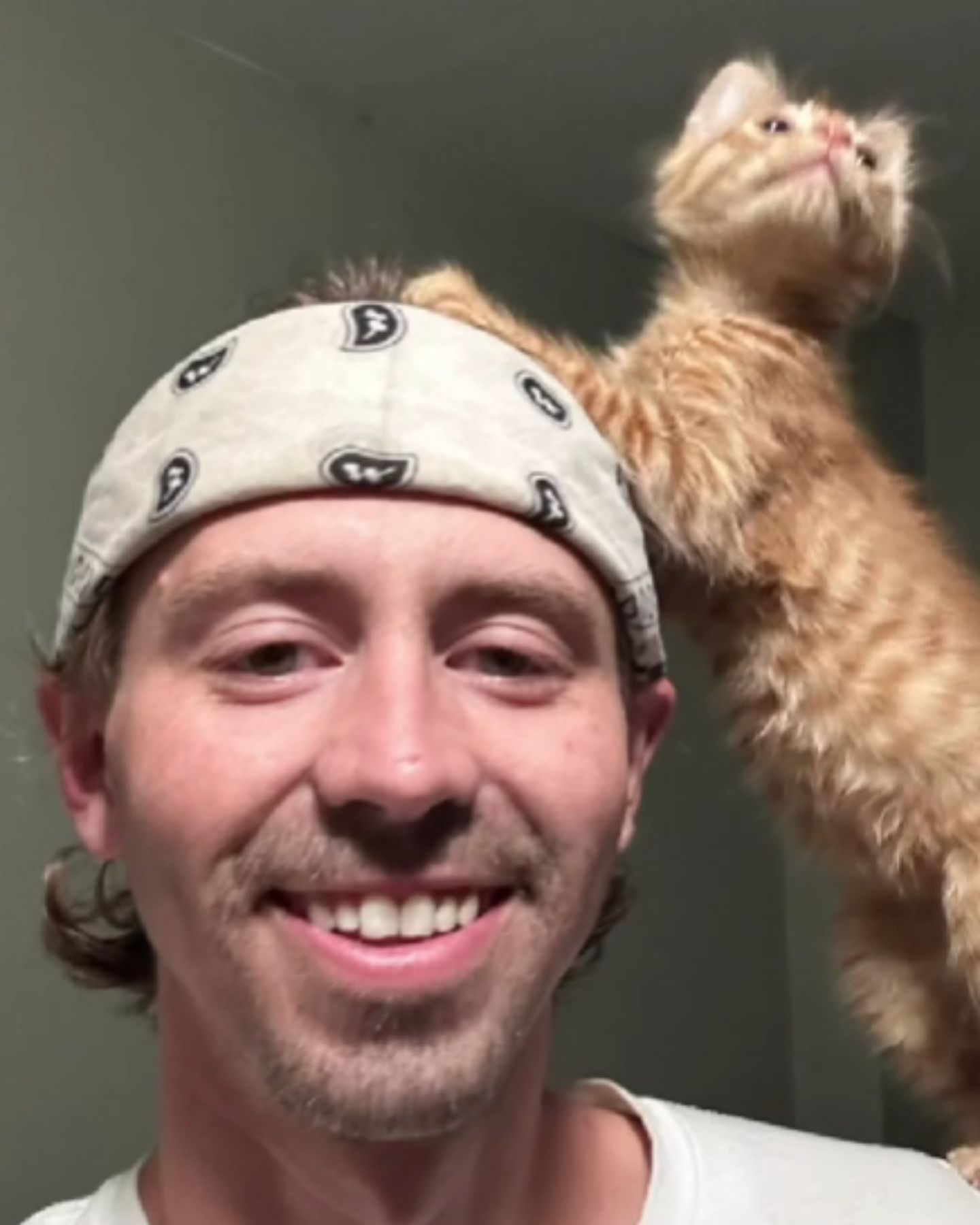 photo of cat on man's shoulder