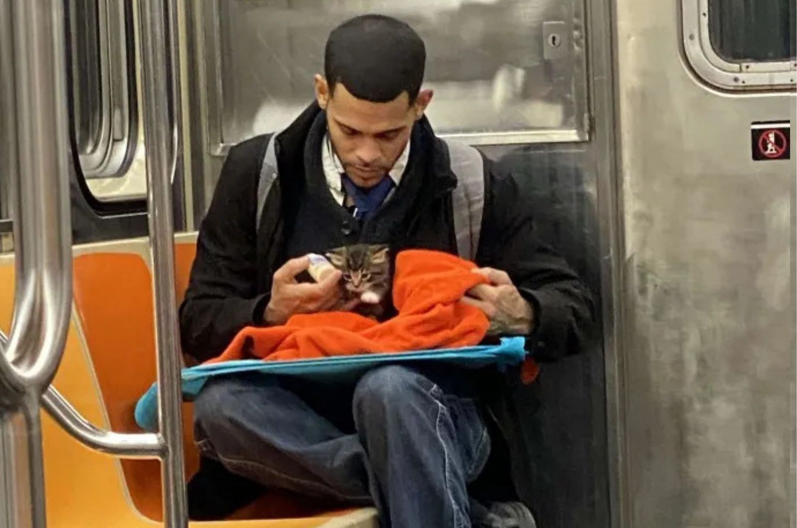 photo of man on subway holding a kitten