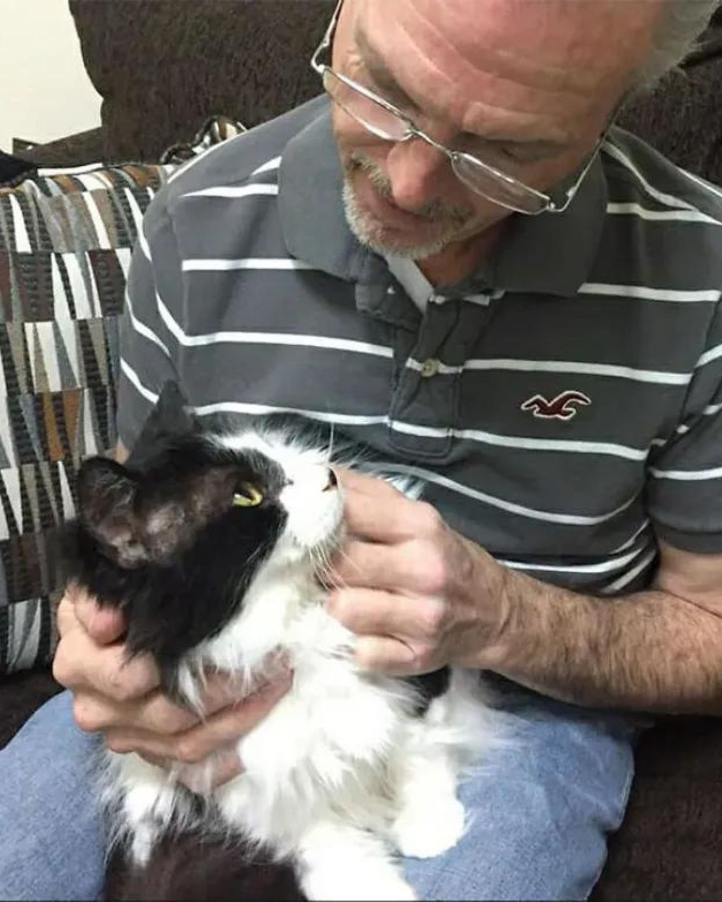 senior man holding a cat