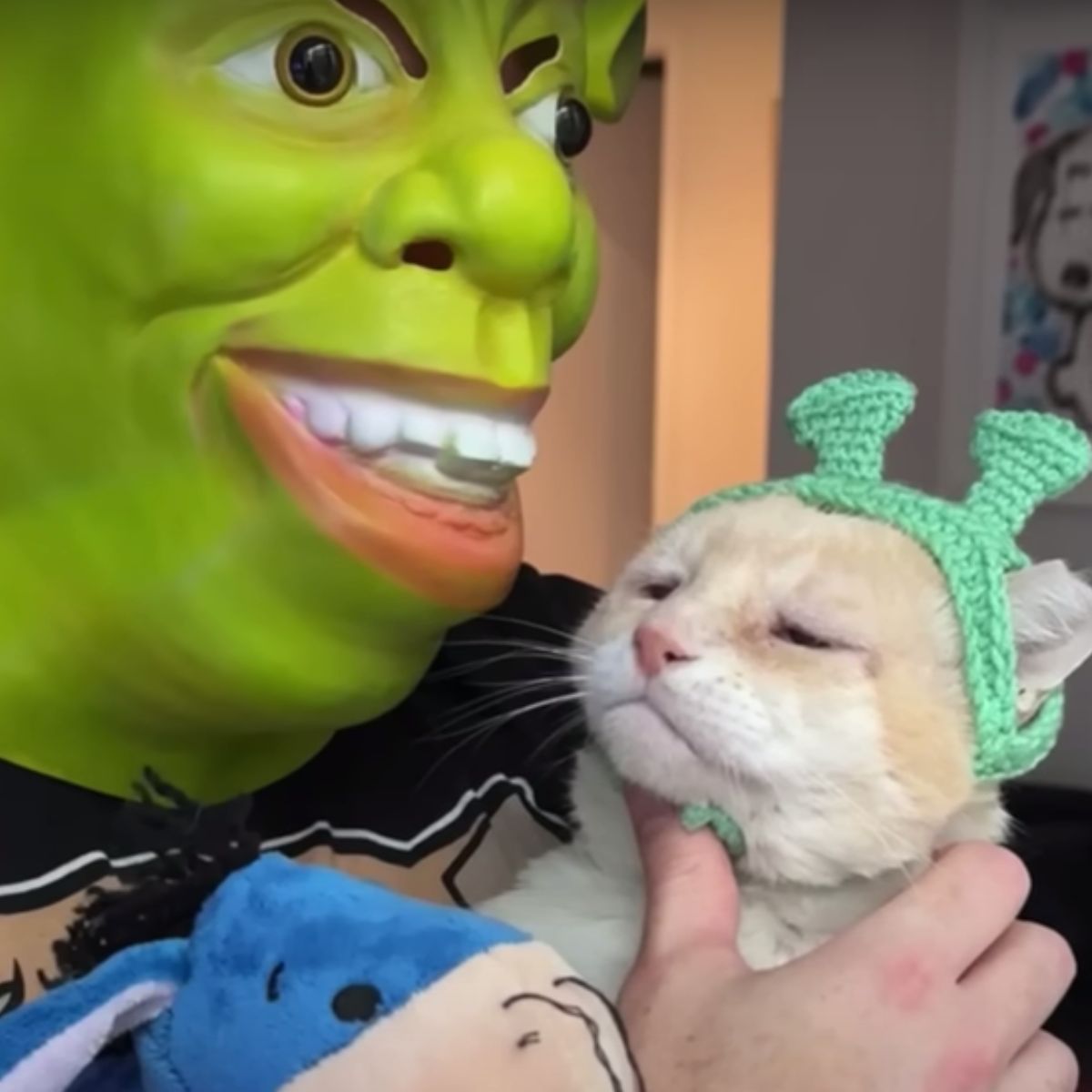 woman and cat wearing sherk costumes