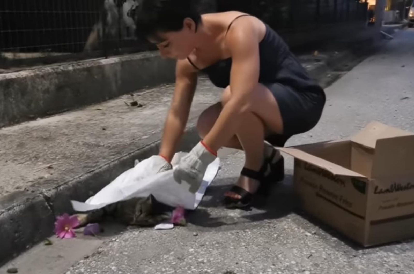 woman covering the cat with white sheet