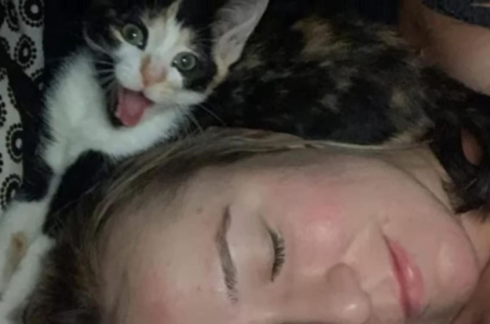 woman sleeping next to a kitten