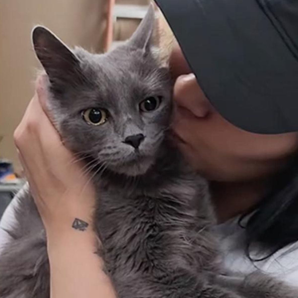 woman with hat kissing cat