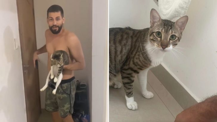 After Bringing His ‘Lost’ Cat Back Home, Man Realizes He Made A Huge Mistake
