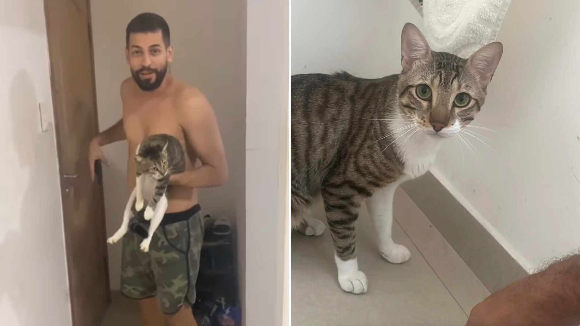 man brought cat home