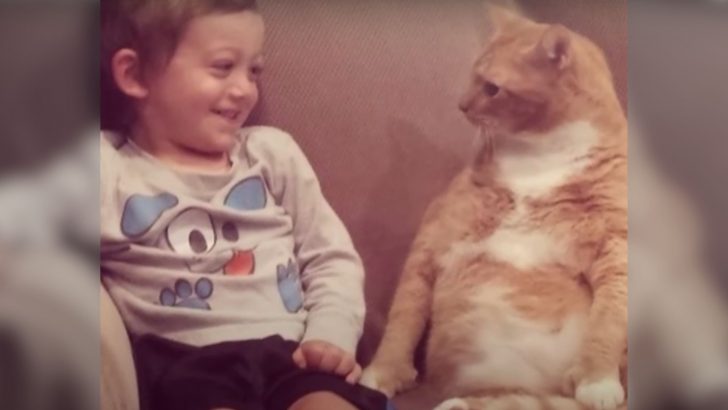 Cat Forms A Special Bond With A Little Boy After Being Abandoned Because Of Mischievous Past