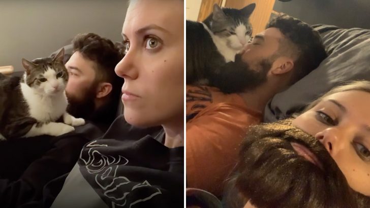 Cat Steals Husband And Makes Sure Wife Knows Her Place As Third Wheel